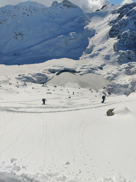 La transhumance à Chamrousse 