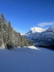 À l’Est beaucoup de nouveau 
