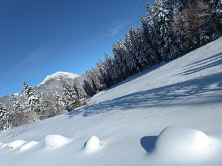 C'est l'hiver à CHAMECHAUDE