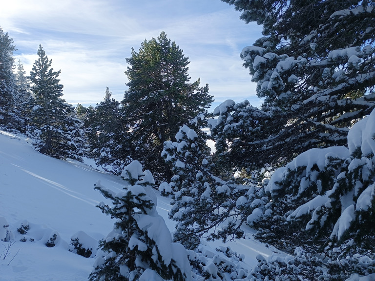 C'est l'hiver à CHAMECHAUDE