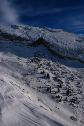 Une belle journée d'hiver!