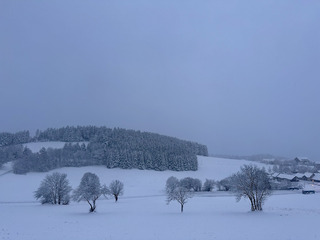 Le grand retour de la neige