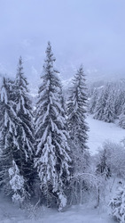 Gros de neige pour l’ouverture 