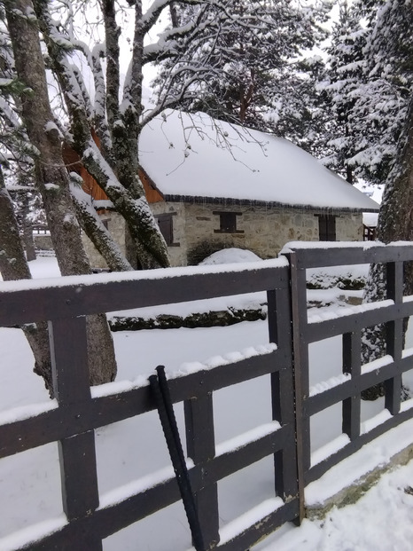 Poudre très légère et ventée 