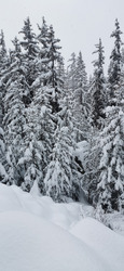 La Maurienne aussi dans la moyenne ⛄