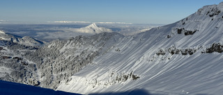 Féerique 