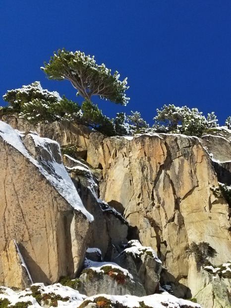 Frigo Pyrénéen avec de la poudreuse 