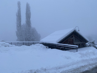 Gavage côté Orelle en cours ❄️