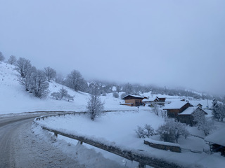Gavage côté Orelle en cours ❄️