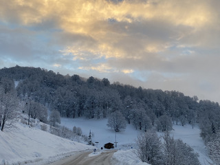 Gavage côté Orelle en cours ❄️