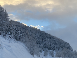 Gavage côté Orelle en cours ❄️