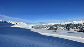 Y&rsquo;a du soleil et pas chat