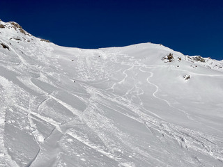 Poudre et Soleil en bonne compagnie 