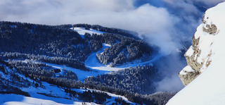 Balade entre les arbres 