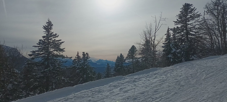 Ski de fond au Charmant Som