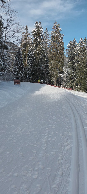 Ski de fond au Charmant Som