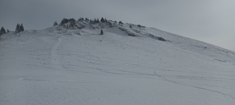 Ski de fond au Charmant Som