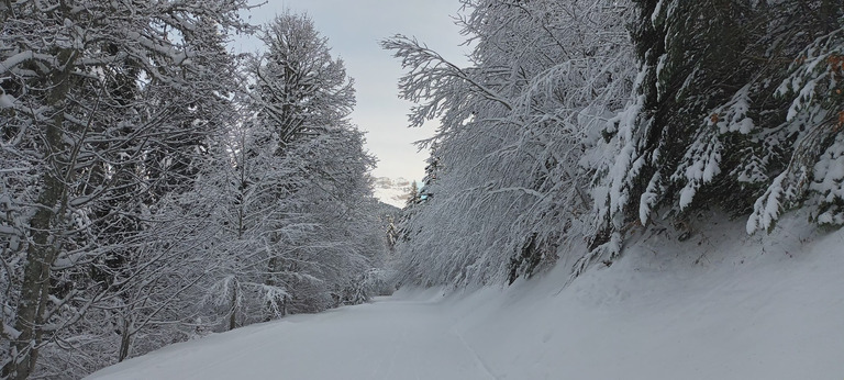 Ski de fond au Charmant Som