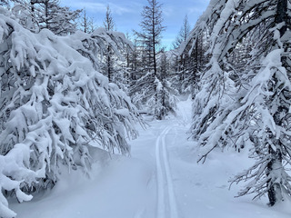 Chancel & Les vallons de la Meije, sans t&eacute;l&eacute;ph&eacute;rique, &ccedil;a se m&eacute;rite 🤌 