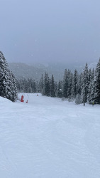 Le domaine s’agrandit 