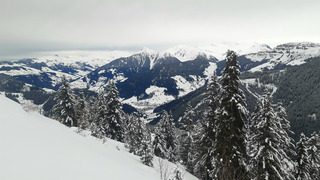 Matinée en noir et blanc