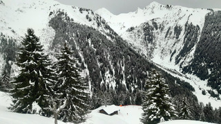 Matinée en noir et blanc
