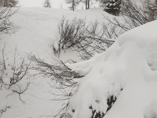 Neige légère au début mais..