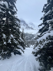 Ouverture voilée, visez la forêt! 