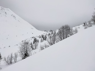 Pré-ouverture au grand'bo 