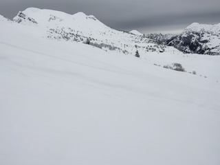 Pré-ouverture au grand'bo 