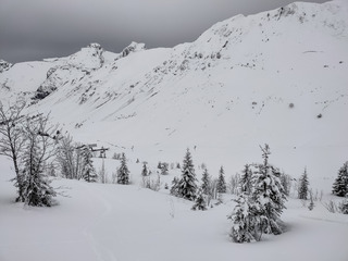 Pré-ouverture au grand'bo 