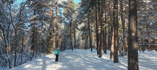 Ski de fond au Rosier