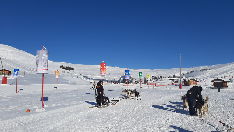 Du soleil - un peu de neige fraîche et les Big Bosseurs 🤩 Sublime 👍