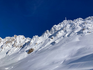 Pur Bonheur