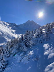 Pur Bonheur