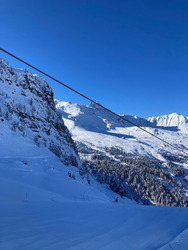 Pur Bonheur