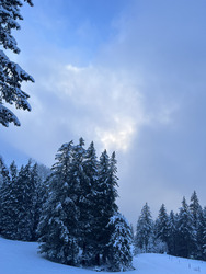La neige revient, festival d’avalanche à venir
