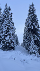Et quelques cm de neige légère en plus 
