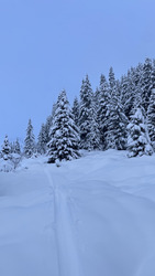 Et quelques cm de neige légère en plus 