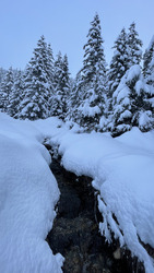 Et quelques cm de neige légère en plus 