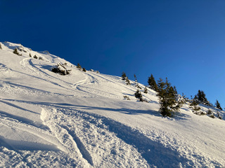 Profitons avant le redoux