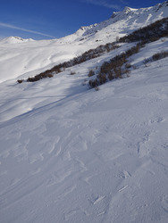 Lendemain de tempête 
