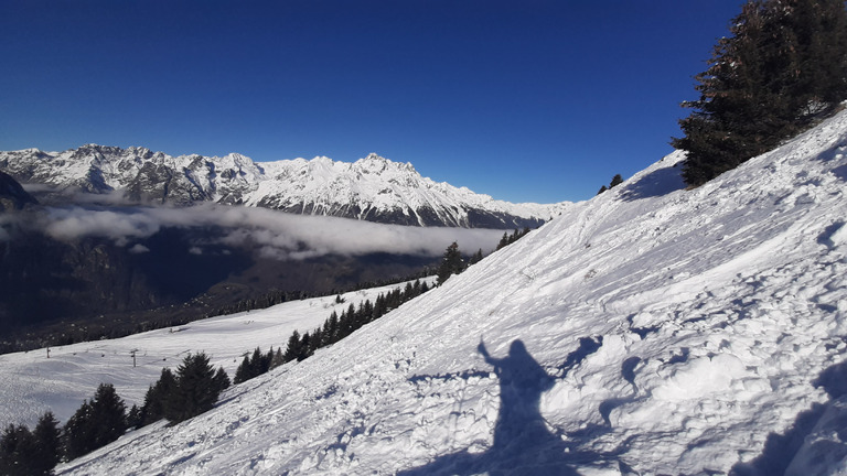 Villard-Reculas : "Secret Spot" pour la pow pow 🤩⭐⭐⭐⭐⭐+ Ski de Bosses