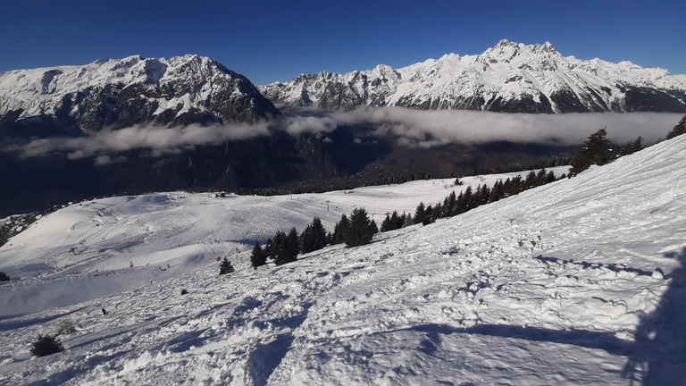 Villard-Reculas : "Secret Spot" pour la pow pow 🤩⭐⭐⭐⭐⭐+ Ski de Bosses