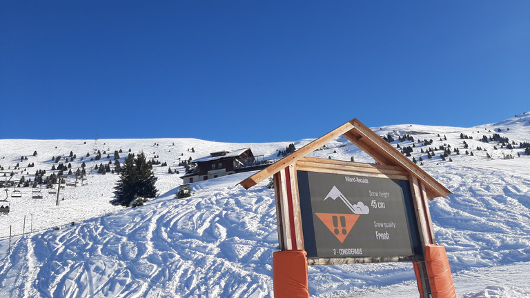 Villard-Reculas : "Secret Spot" pour la pow pow 🤩⭐⭐⭐⭐⭐+ Ski de Bosses