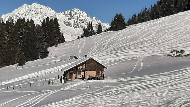 Villard-Reculas : "Secret Spot" pour la pow pow 🤩⭐⭐⭐⭐⭐+ Ski de Bosses