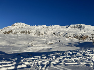 Poudreuse, soleil et coupe du monde de bosses