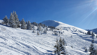 A-beau-riaz sous le vent