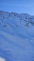 Fourbes avec le Gypaète 