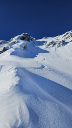 Fourbes avec le Gypaète 